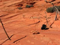 IMG_5656x.JPG IMG_5656x.JPG