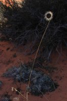 IMG_5682.JPG IMG_5682.JPG