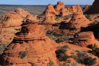 IMG_5729.JPG IMG_5729.JPG