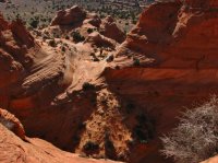 IMG_5657b.JPG IMG_5657b.JPG