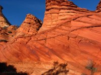 IMG_5657z.JPG IMG_5657z.JPG