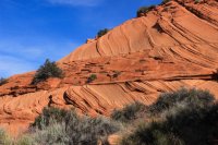 IMG_5763.JPG IMG_5763.JPG