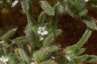 IMG_5811.JPG IMG_5811.JPG