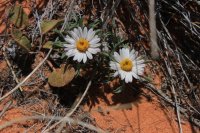 IMG_5848.JPG IMG_5848.JPG