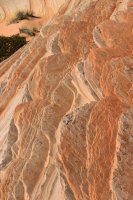 IMG_5881.JPG IMG_5881.JPG