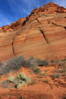 IMG_5942.JPG IMG_5942.JPG