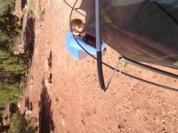 image.jpeg image.jpeg