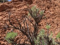 IMG_0496.jpg IMG_0496.jpg