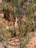 IMG_0499.jpg IMG_0499.jpg