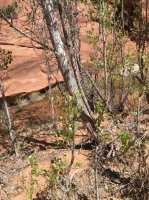 IMG_0500.jpg IMG_0500.jpg