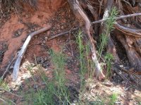 IMG_0503.jpg IMG_0503.jpg