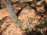 IMG_0505.jpg IMG_0505.jpg