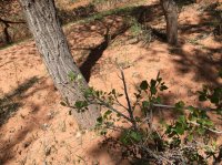 IMG_0506.jpg IMG_0506.jpg