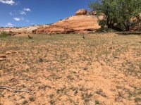 IMG_0508.jpg IMG_0508.jpg