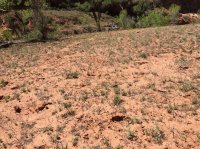 IMG_0510.jpg IMG_0510.jpg