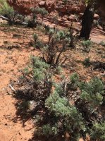 IMG_0511.jpg IMG_0511.jpg