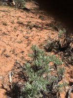 IMG_0512.jpg IMG_0512.jpg