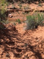 IMG_0516.jpg IMG_0516.jpg