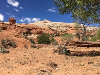 IMG_0526.jpg IMG_0526.jpg