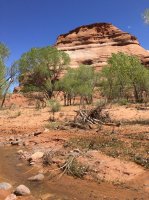 IMG_0528.jpg IMG_0528.jpg