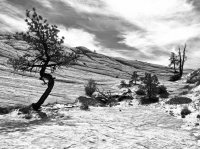 IMG_0587 (1).jpg IMG_0587 (1).jpg