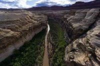 CNP-03648.JPG CNP-03648.JPG