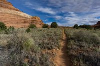 CNP-03803.JPG CNP-03803.JPG