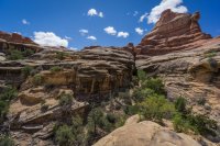 CNP-03940.JPG CNP-03940.JPG