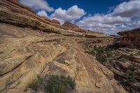 CNP-03941.JPG CNP-03941.JPG