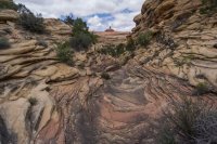 CNP-03986.JPG CNP-03986.JPG