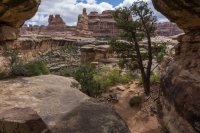 CNP-04019.JPG CNP-04019.JPG