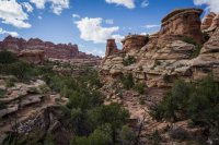 CNP-04078.JPG CNP-04078.JPG