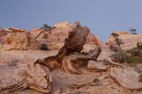 des4 1074 resized.jpg