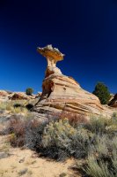 des4 904imp resized.jpg