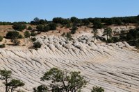 des4 940imp resized.jpg