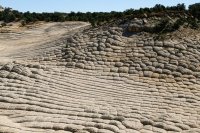 des4 931 imp resized.jpg