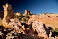 des4 984imp trsized.jpg