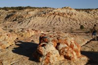 des4 1004 resized.jpg