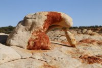 des4 958 resized.jpg