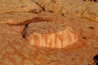 des4 1015imp resized.jpg