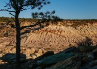 des4 998imp2 resized.jpg