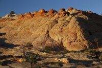 des4 1057 resized.jpg