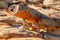 des4 1125imp resized.jpg