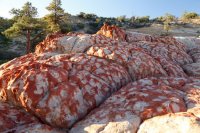 des4 1104impresized.jpg