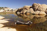 des4 1168 resized.jpg