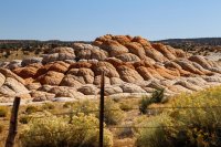 des4 1169 imp resized.jpg