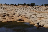 des4 1154 resized.jpg