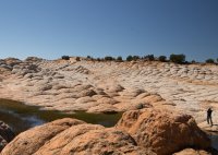 des4 1152imp3resized.jpg