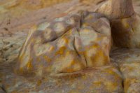 des4 1049impresized.jpg