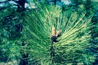 DSC05208.jpg DSC05208.jpg